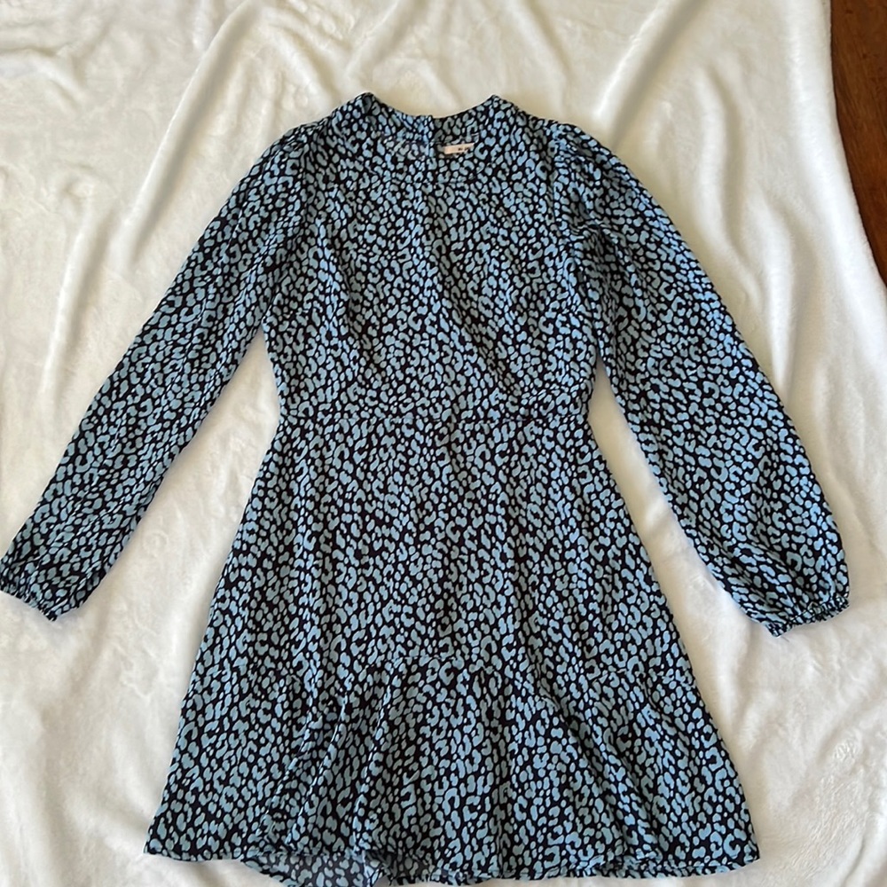 Francescas blue dress